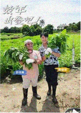 歌手2024 国产精品新综艺推荐